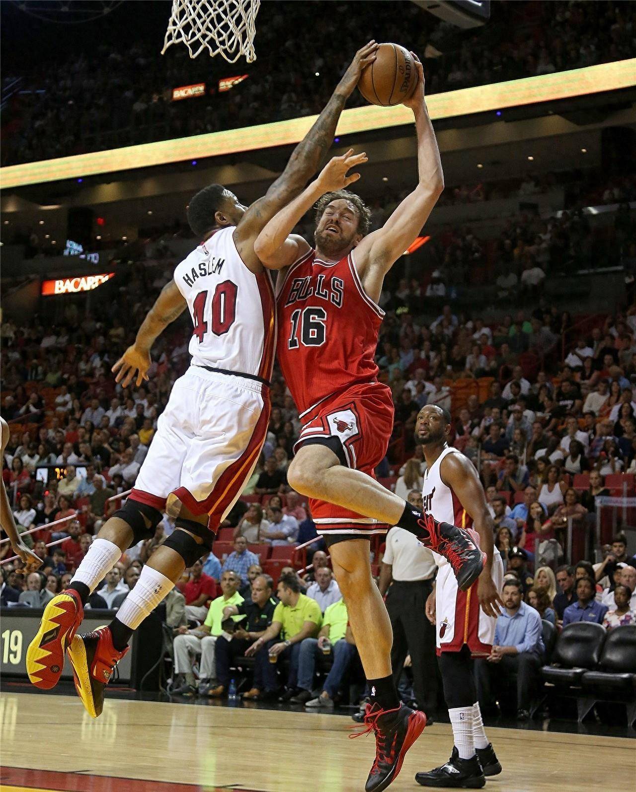 的洞察力 的洞察力