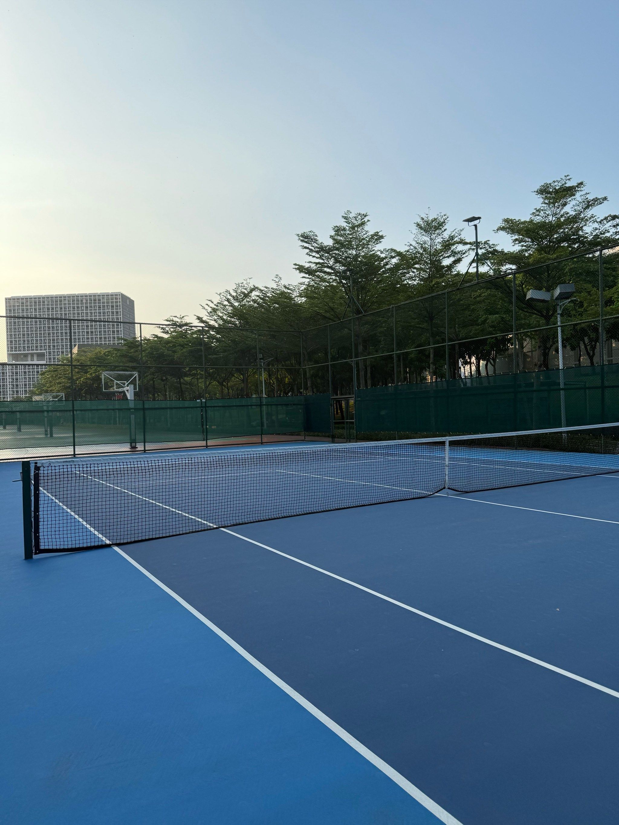 不仅仅与动 不仅仅与动