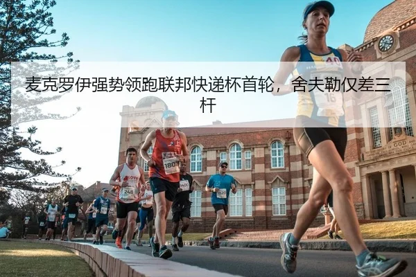 麦克罗伊强势领跑联邦快递杯首轮，舍夫勒仅差三杆